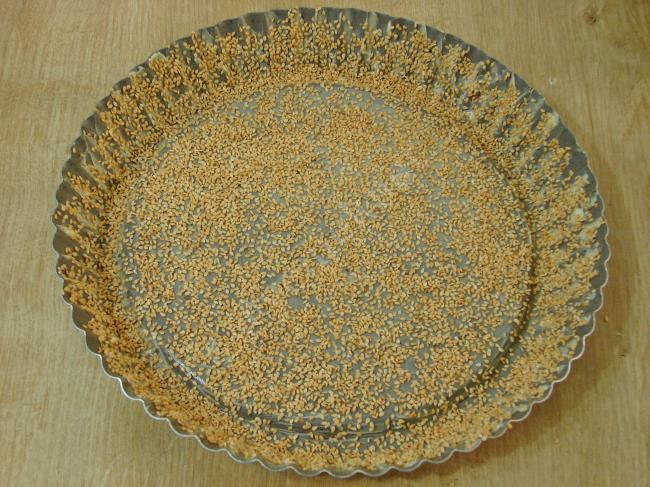 Tahinli Tart Kek - Yapılışı (7/20) 