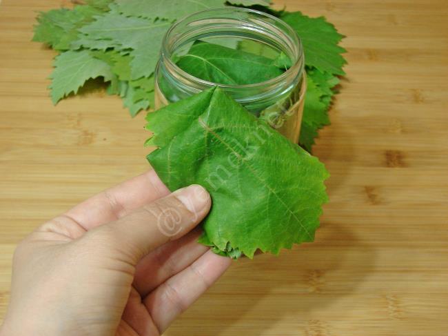 Kurudan Asma Yaprağı - Yapılışı (8/12) 