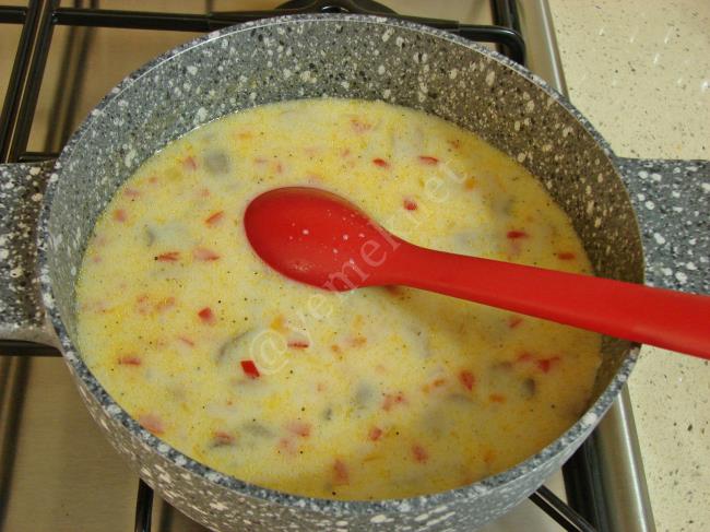 Sebzeli Mantar Çorbası - Yapılışı (12/16) 