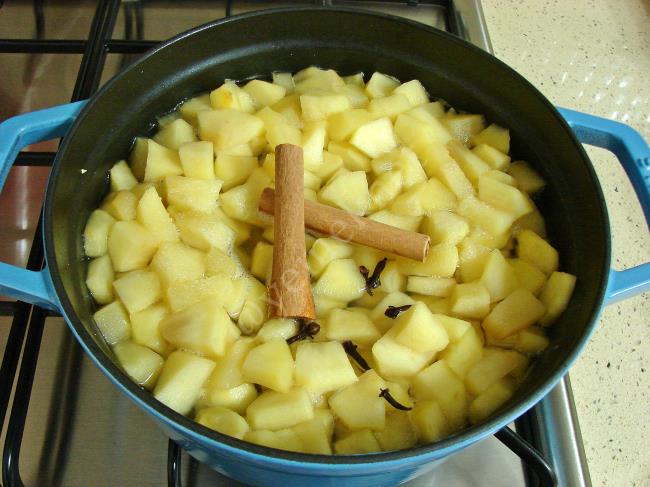 Elma Kompostosu - Yapılışı (5/8) 