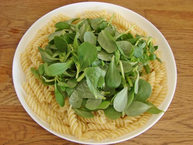 Semizotlu Makarna Salatası - Yapılışı (6/12) 