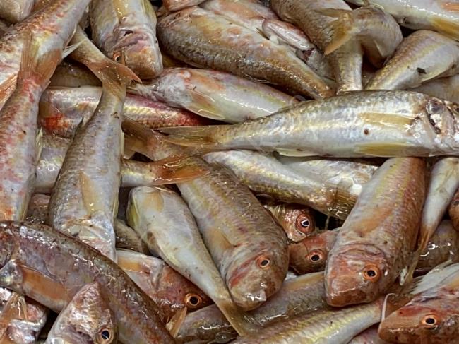 Eğer Aldığınız Balık Böyle İse Hemen Kontrol Edin, Bunu Bilmek Hayat Kurtarır : Bayat Balık Tüketilirse Ne Olur?