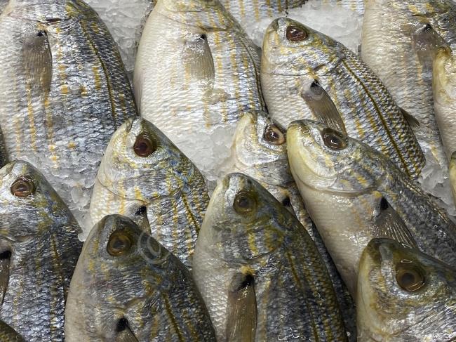 Eğer Aldığınız Balık Böyle İse Hemen Kontrol Edin, Bunu Bilmek Hayat Kurtarır : Bayat Balık Tüketilirse Ne Olur?