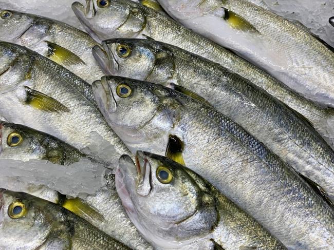 Bozuk Balığı Anlamanın Öyle Bir Kolay Yolu Var Ki, Keşke Önceden Bunu Bilseydim Diyeceksiniz : Bozulan Balık Nasıl Anlaşılır?