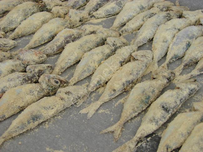 Fırında İstavrit - Yapılışı (7/12) 