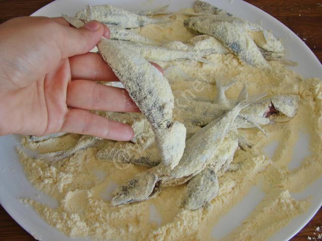 İstavrit Tava - Yapılışı (5/12) 