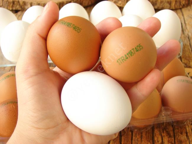 Bozulan Yumurta Nasıl Anlaşılır?