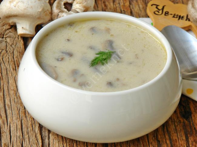 Bu Çorba Sadece 1 Bardak Süt İle Bildiğiniz Kremalı Tadında Oluyor : Kremasız Mantar Çorbası