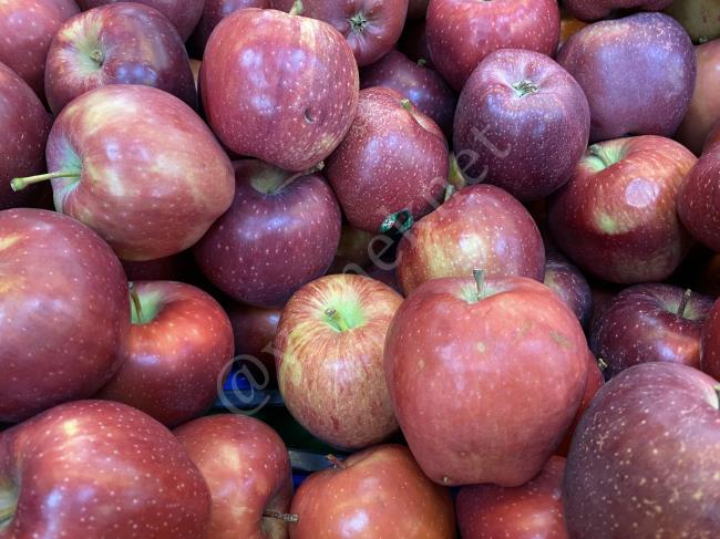 Her Sabah Aç Karna 1 Adet Yemeniz Yeterli, Bakın Neye İyi Geliyor : Kırmızı Elmanın Faydaları