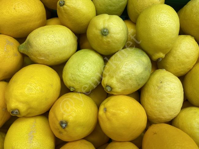 Limonun Zaten Onlarca Bildiğimiz Faydası Vardı Ama Esas Mühim Olanı Faydası Çok Başkaymış : Limonun Faydaları
