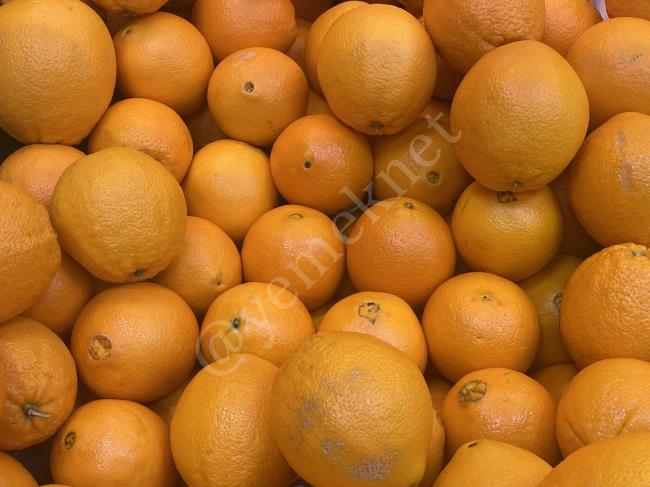 Portakalın Bu Faydasını Bilseydiniz Emin Olun Kabuğunu Bile Asla Atmazsınız : Portakalın Faydaları