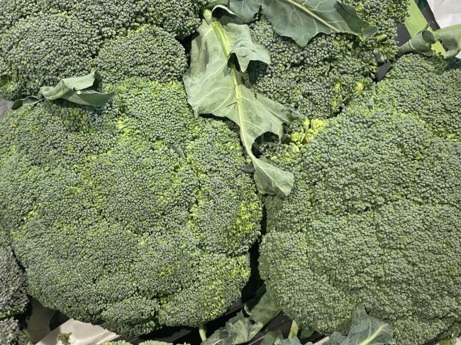 Kemikleri Adeta Çelik Gibi Yapıyor, Kalpten Beyne Fayda Etmediği Yer Yok : Brokolinin Faydaları