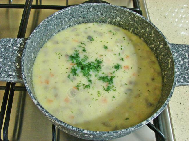 Havuçlu Mantar Çorbası - Yapılışı (11/16) 