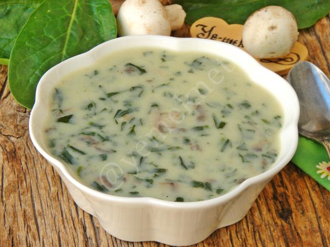 Ispanaklı Mantar Çorbası