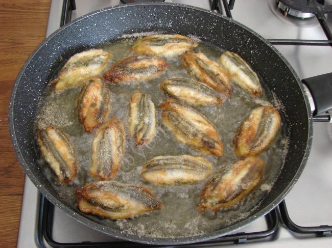 Hamsi Kuşu - Yapılışı (13/16) 