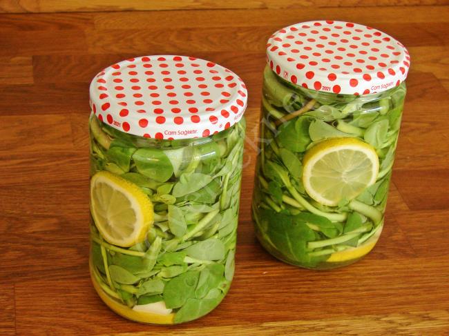 Semizotu Turşusu - Yapılışı (9/12) 