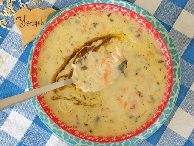 Sebzeli Terbiyeli Şehriye Çorbası