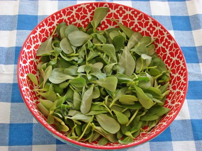 Ekşi Elmalı Semizotu Salatası - Yapılışı (3/8) 