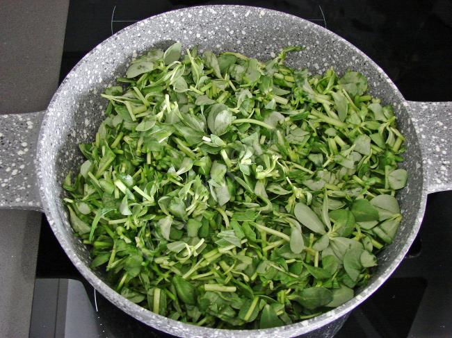 Mercimekli Semizotu Borani - Yapılışı (4/12) 