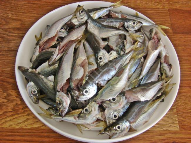 Tavada İstavrit - Yapılışı (2/12) 