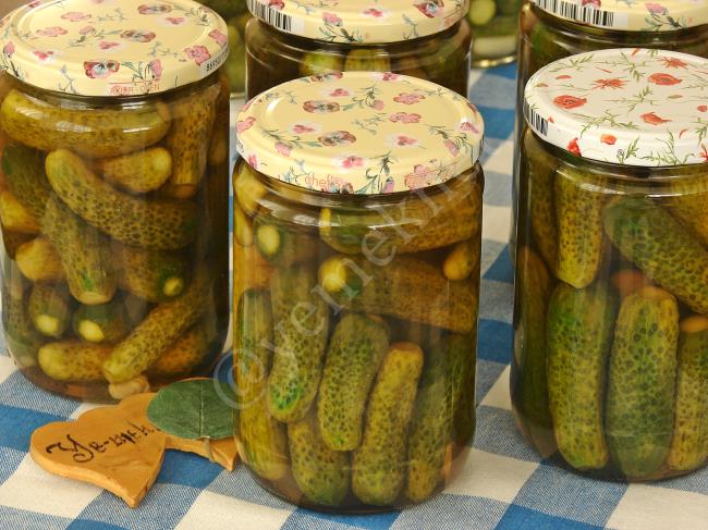 Kornişon Salatalık Turşusu