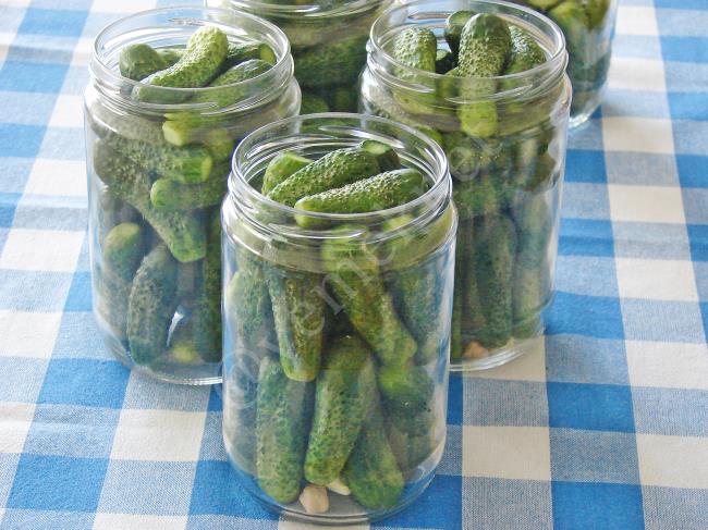 Kornişon Salatalık Turşusu - Yapılışı (5/12) 