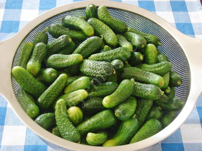 Sirkesiz Limonsuz Kornişon Turşusu - Yapılışı (2/12) 