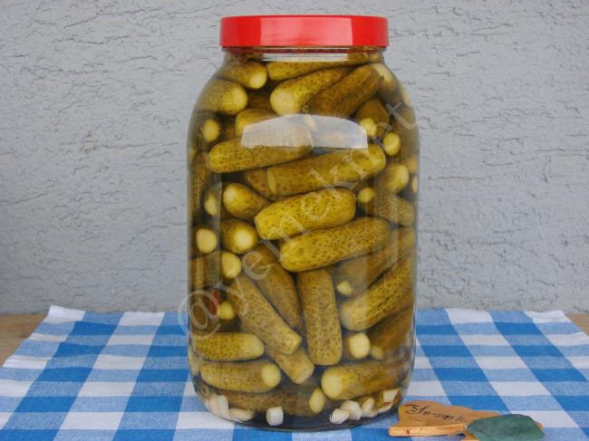 Soğuk Suyla Salatalık Turşusu - Yapılışı (10/12) 