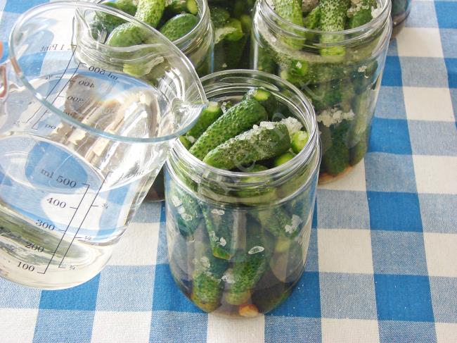 Turşu Kavanozu Neden Su Sızdırır? Su Sızdırmışsa Bozulmuş Mudur?