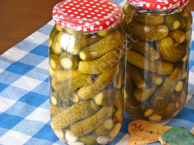 Limon Tuzsuz Kornişon Turşu - Yapılışı (11/12) 