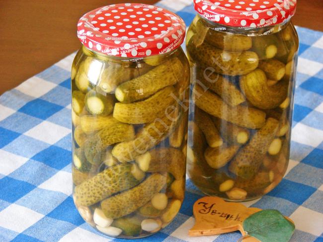 Salatalık Turşusu Tarifleri