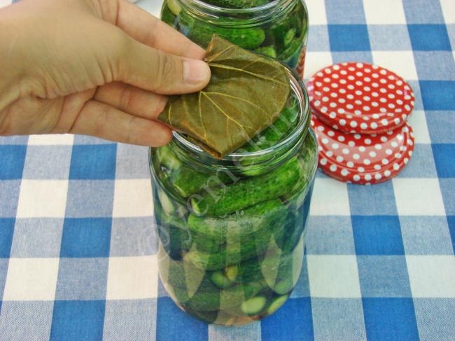 Limon Tuzsuz Kornişon Turşu - Yapılışı (9/12) 