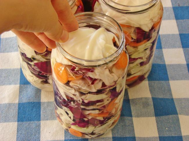 Probiyotik Lahana Turşusu - Yapılışı (8/12) 